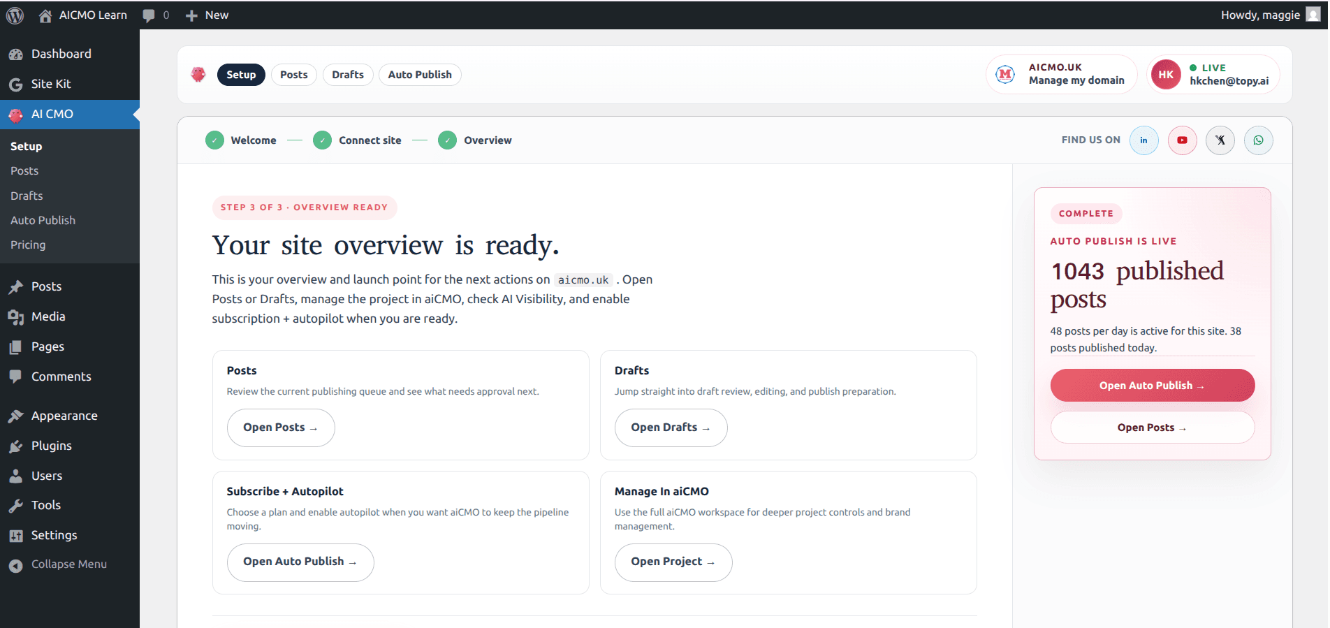 WordPress wp-admin AI CMO overview screen showing setup steps, posts, drafts, and live auto publish status